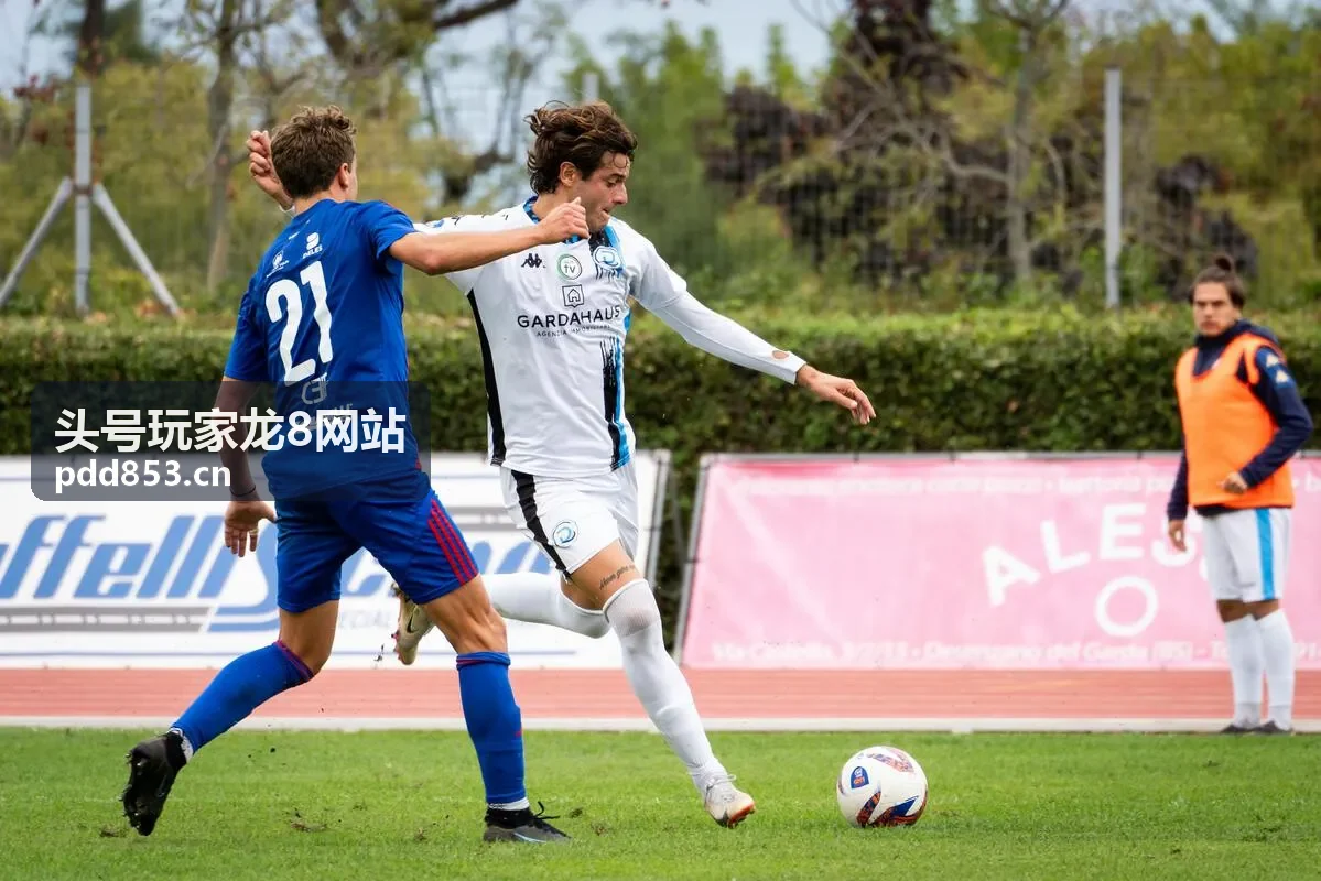 头号玩家龙8网站会员体系